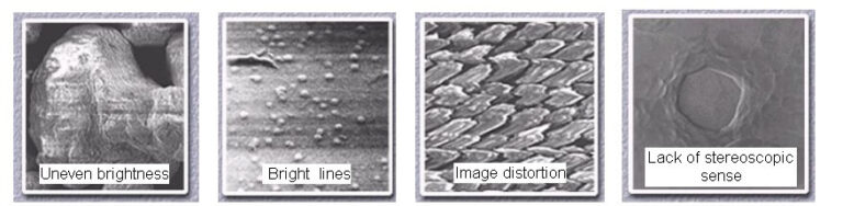 overcome-charge-up-effects-in-scanning-electron-microscopes-sems